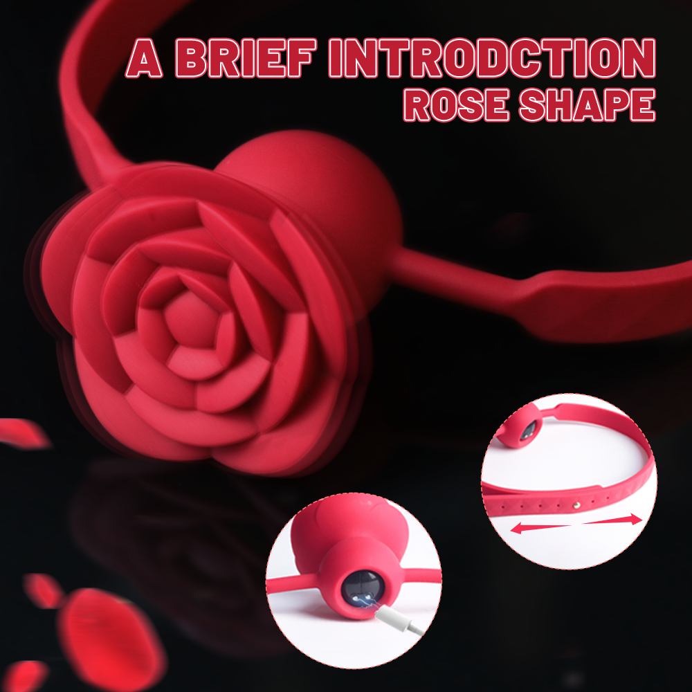 SM Vibrating Training Toy